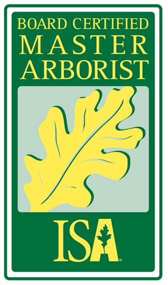 ISA logo
