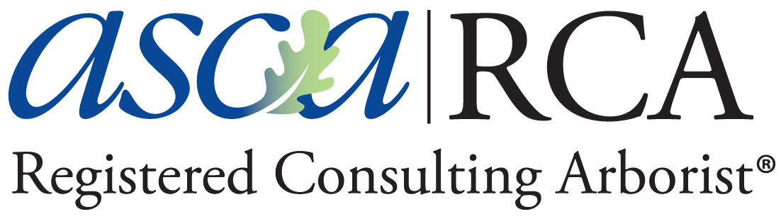 RCA logo